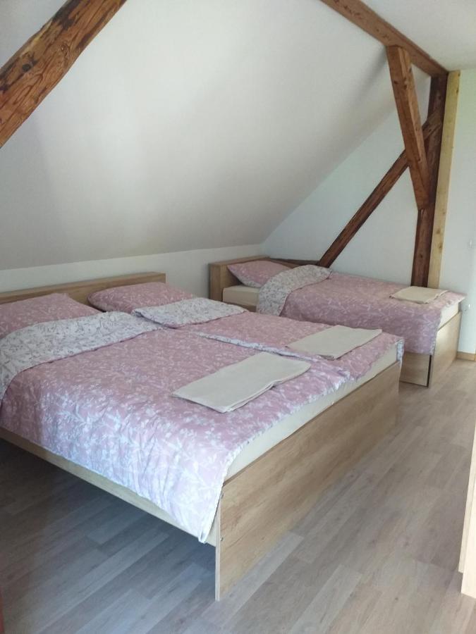 Apartma Sveti Duh Nova Vas  외부 사진