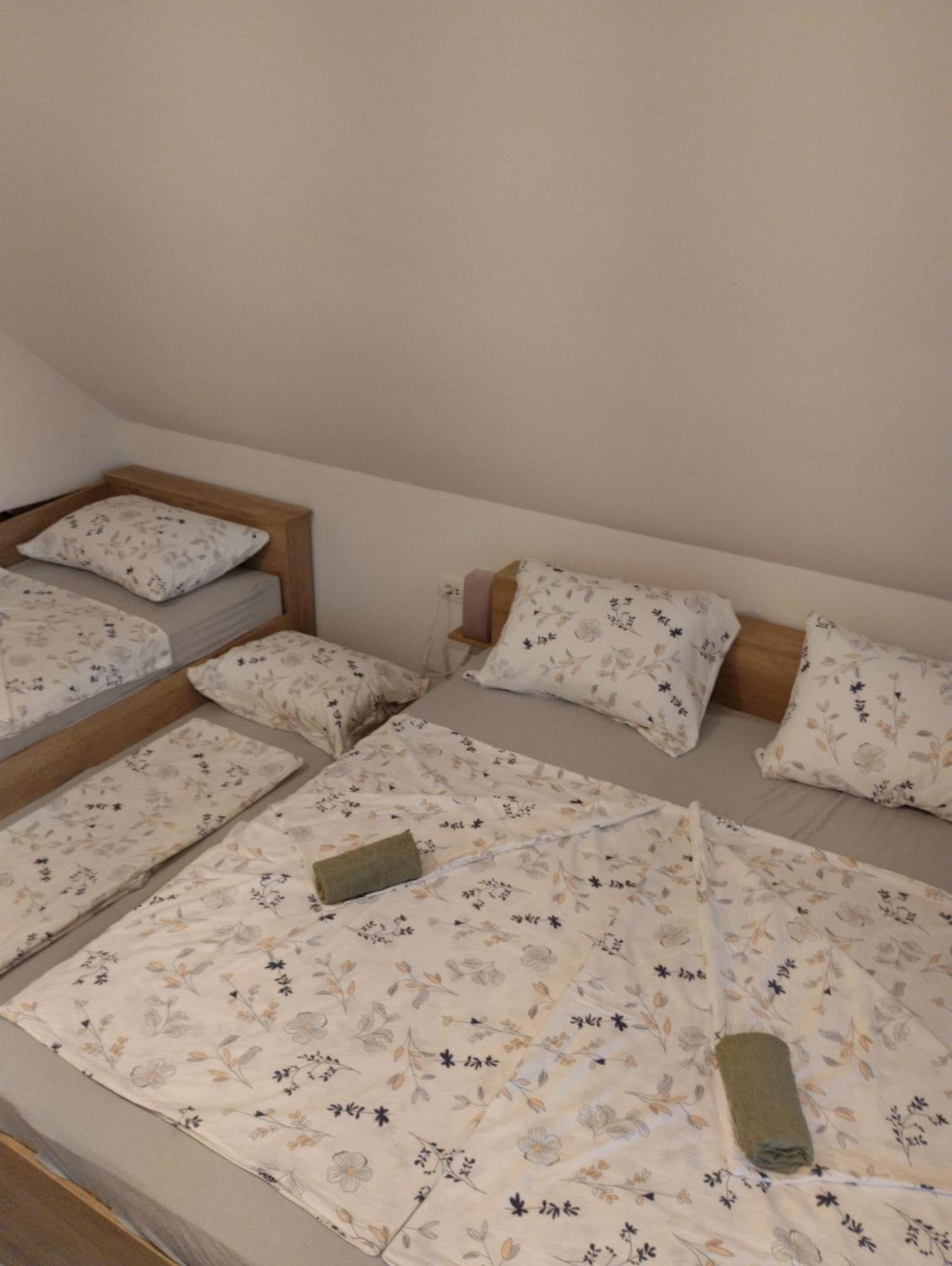 Apartma Sveti Duh Nova Vas  외부 사진