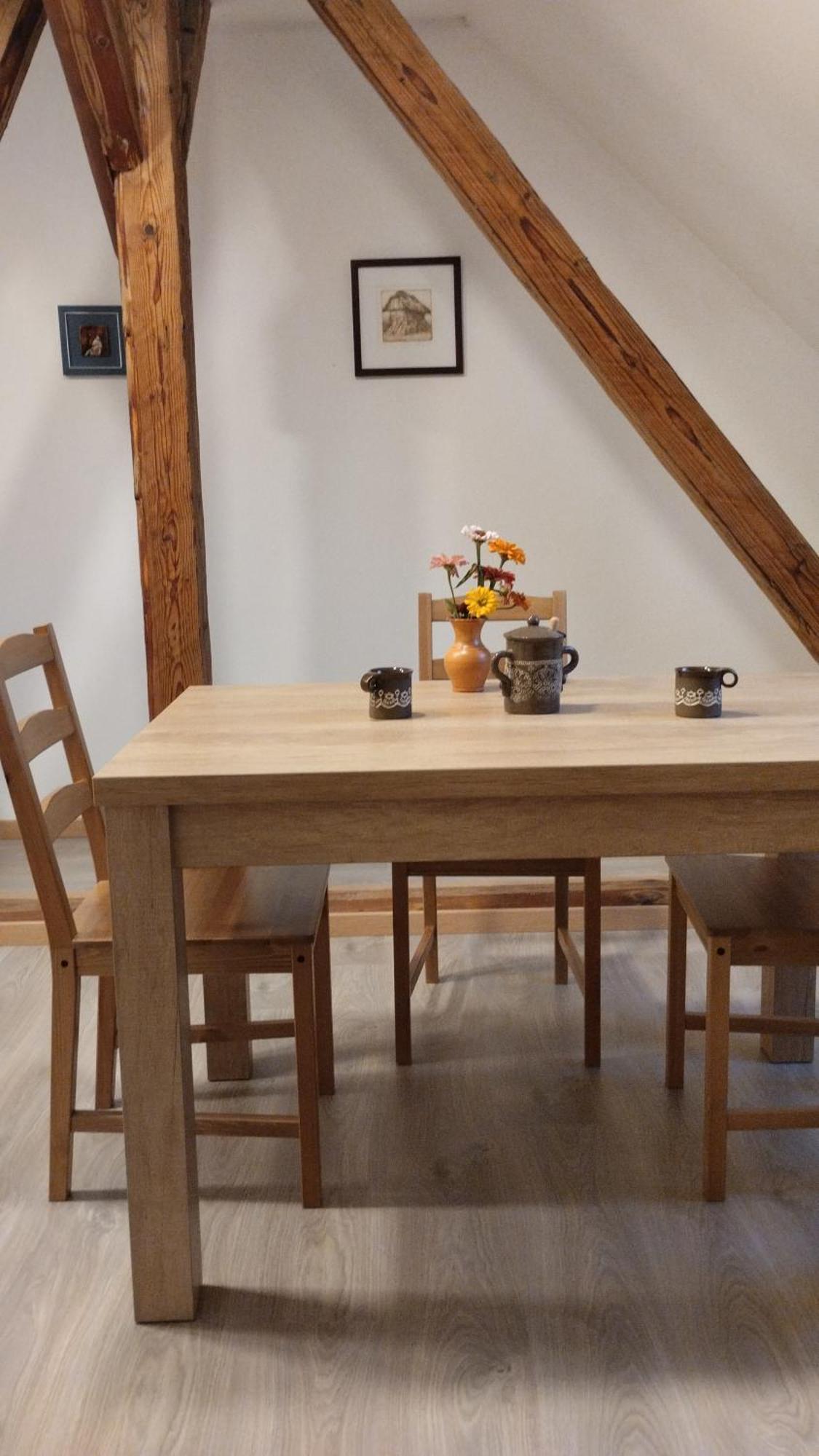 Apartma Sveti Duh Nova Vas  외부 사진