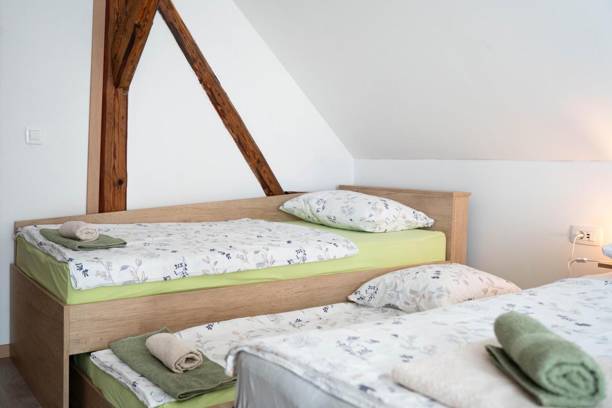 Apartma Sveti Duh Nova Vas  객실 사진