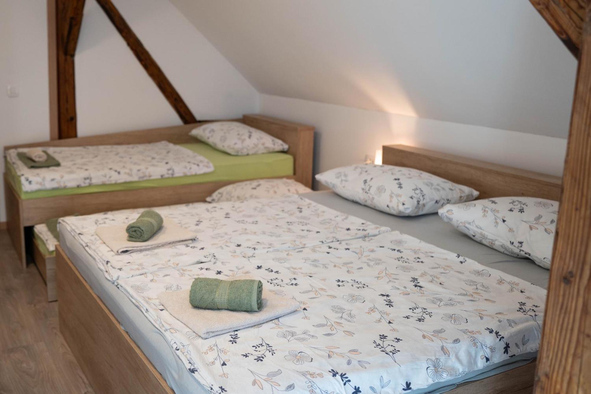 Apartma Sveti Duh Nova Vas  객실 사진