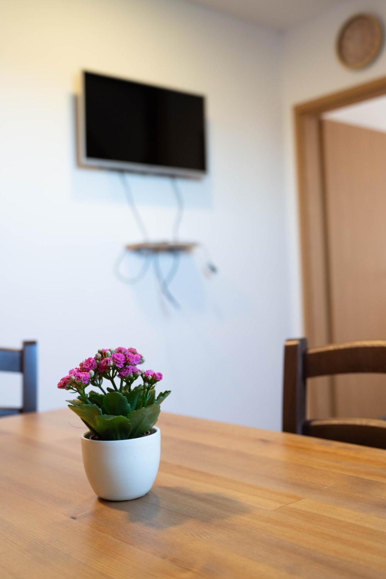 Apartma Sveti Duh Nova Vas  객실 사진